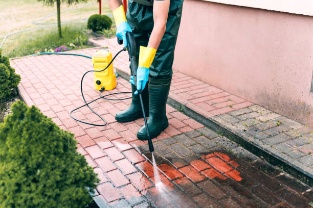 Best Roof Washing  in Harlan, IA